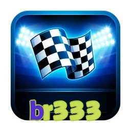br333
