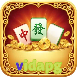 vidapg
